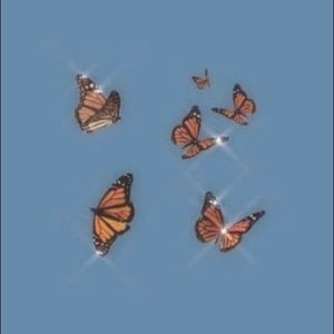 Meet your Posher, Cozette